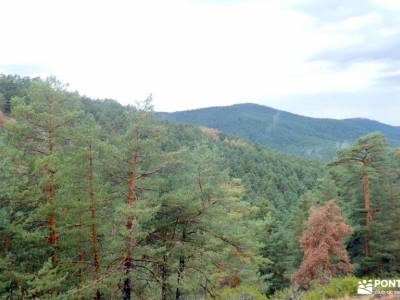 Monte Valsaín-Colada Fuenfría; pantano de bolarque los galayos madrid transpirenaica ruta de las nog